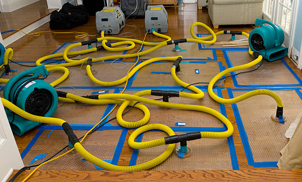 Professional Crawl Space Water Removal technician working in Broadway, OH